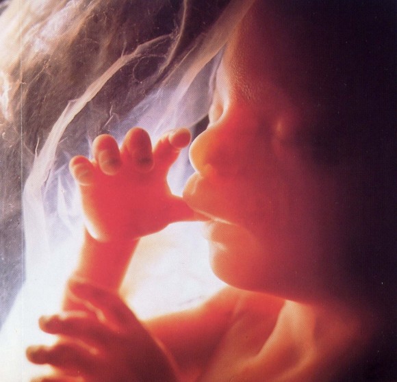 feto-20-semanas-capaz-sentir-dolor-si-o-no