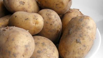La patata: razones para que no falte en la dieta