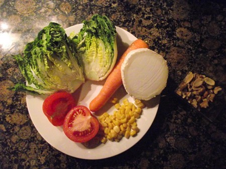 DSCF0397 450x600 Ensalada con vinagreta de frutos secos y rulo de cabra
