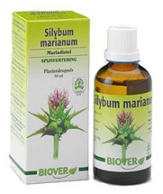 biover-cardo-mariano-slybum-marianum