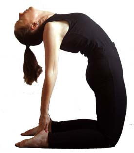 yoga postura camello