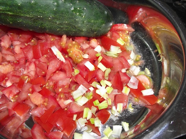 DSCF2716 recetas Pepinos Españoles Rellenos