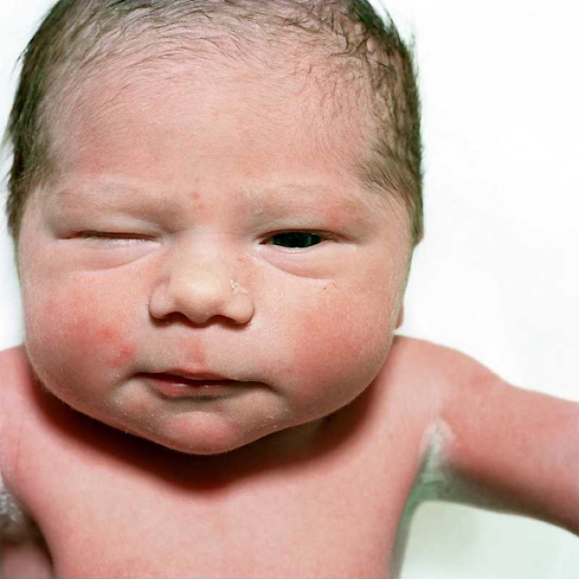 las-mejores-fotos-de-bebes-recien-nacidos