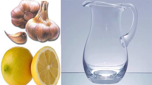 productos naturlaes para tratar la piojera