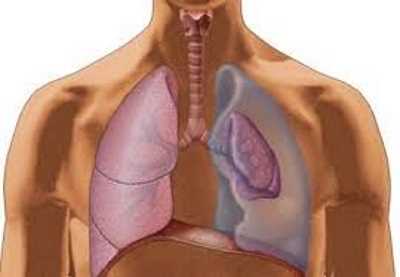 Fibrosis quistica y nutricion2