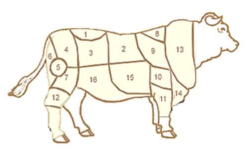 vaca2