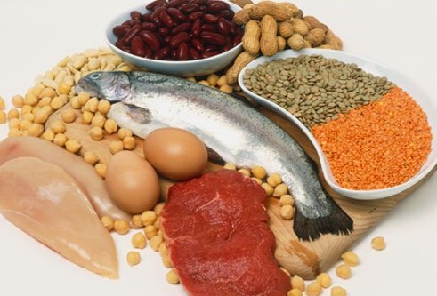 Proteinas distintas opciones para cumplir con la dieta