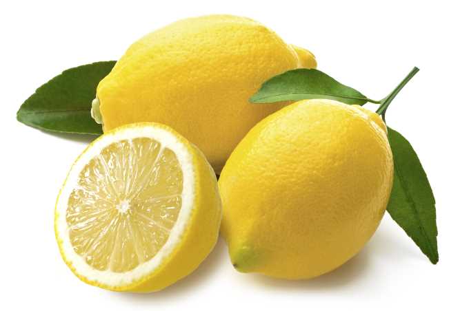 Todo sobre el limon