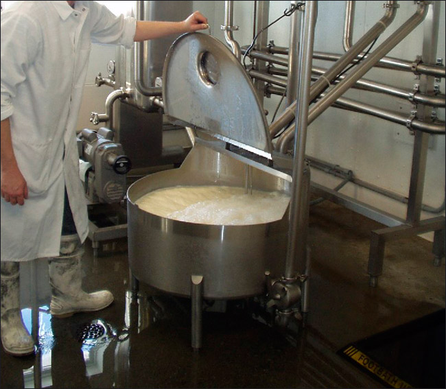 Pasteurizacion de la leche