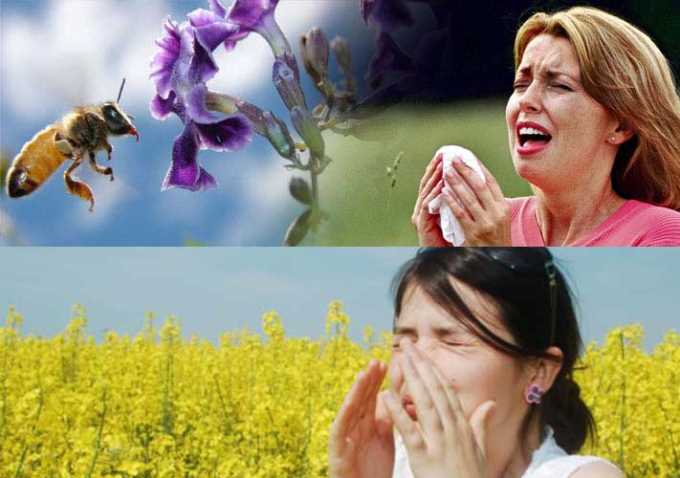 prevenir-las-alergias