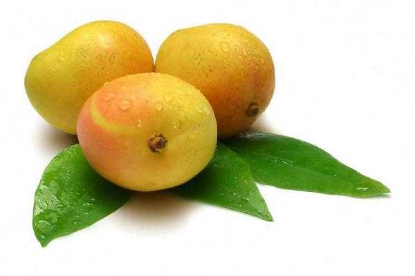 Propiedades curativas del mango
