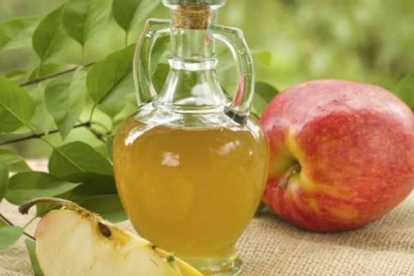 Adelgazar con vinagre de manzana beneficios y usos