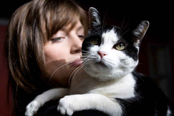 Alergia por gatos síntomas y tratamientos