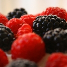 10 alimentos que ayudan a prevenir el envejecimiento2.jpg