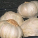 10 alimentos que ayudan a prevenir el envejecimiento4.JPG