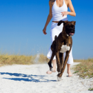 6 razones para hacer ejercicio con tu mascota trabajas mas.png