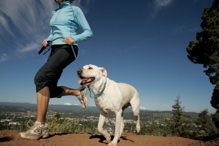 6 razones para hacer ejercicio con tu mascota.jpg