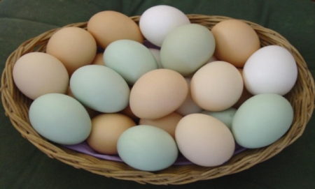 7 razones para consumir huevos 2.jpg