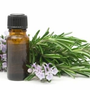 Aceites esenciales para el sistema respiratorio 1.jpg