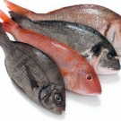 Alimentos para combatir la ansiedad-2.jpg