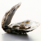 Alimentos para combatir la ansiedad-5.jpg