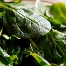 Alimentos ricos en hierro para vegetarianos_espinaca y vegetales hojas verdes.jpg