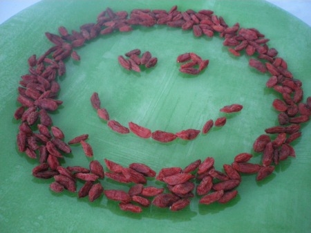 Beneficios y contraindicaciones de las bayas de Goji .jpg