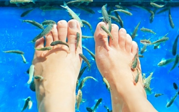 Beneficios-de-la-ictioterapia-o-terapia-con-peces-3.jpg Beneficios-de-la-ictioterapia-o-terapia-con-peces-3.jpg