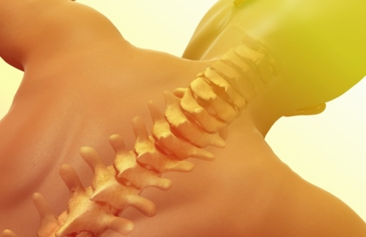 Causas y prevención del dolor de espalda_1.jpg