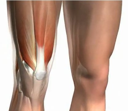 Cómo evitar un calambre-6.jpg Cómo evitar un calambre-6.jpg