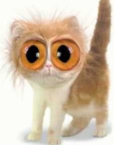 Cómo tener más energía: fuentes de cafeína 1.jpg Cómo tener más energía: fuentes de cafeína 1.jpg