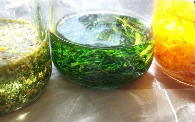 Como preparar maceraciones caseras 2.JPG