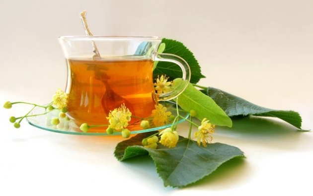 Conociendo los distintos tipos de hierbas estimulantes y venenosas  1.jpg Conociendo los distintos tipos de hierbas estimulantes y venenosas  1.jpg