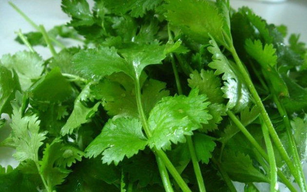 Conociendo los distintos tipos de hierbas nutritivas y tonificadoras  1.jpg