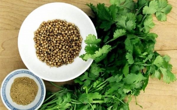 Conociendo los distintos tipos de hierbas nutritivas y tonificadoras  4.jpg