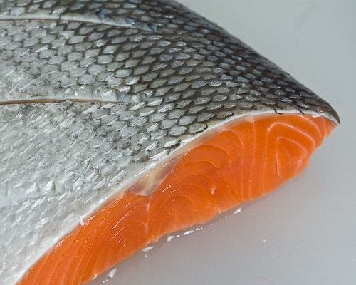 El salmón y la producción de dopaminas 1.jpg El salmón y la producción de dopaminas 1.jpg