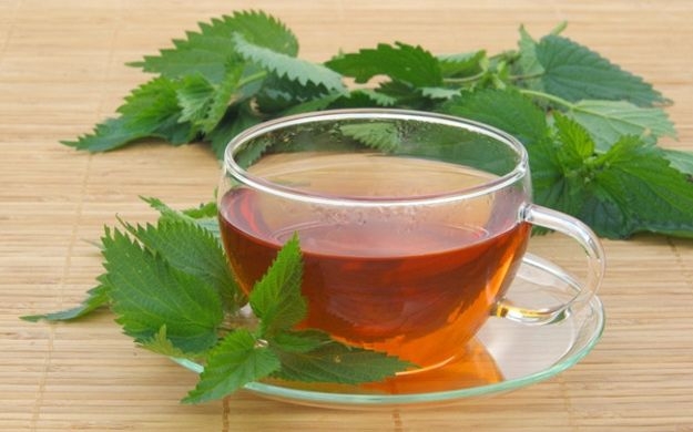 La ortiga mayor 4.jpg La ortiga mayor 4.jpg