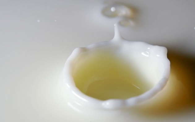 Leche cruda para tratar la fibromialgia  2.jpg Leche cruda para tratar la fibromialgia  2.jpg