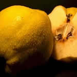 Membrillo plantas medicinales