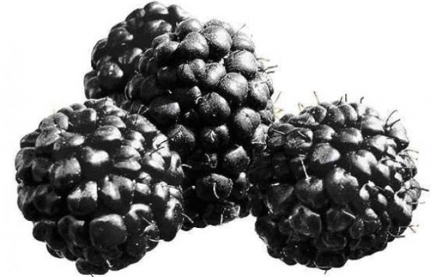 Moras para tratar la indigestión 4.jpg Moras para tratar la indigestión 4.jpg