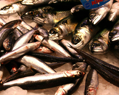 Pescado azul Los beneficios del pescado azul