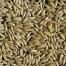 Propiedades de la avena para adelgazar5.jpg