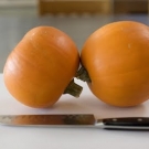 Propiedades del zapallo-4.jpg