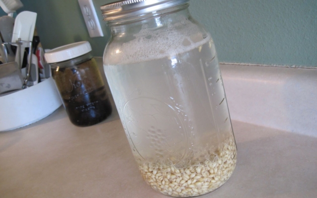 Rejuvelac-casero-para-la-digestion-y-el-rejuvenecimiento-2.jpg Rejuvelac-casero-para-la-digestion-y-el-rejuvenecimiento-2.jpg