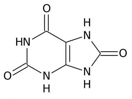 Remedios naturales para el ácido úrico2.jpg