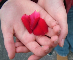 Sexo-y-corazon-2.jpg Sexo-y-corazon-2.jpg