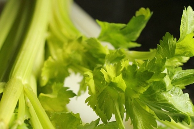 Sopa de apio para adelgazar2.jpg