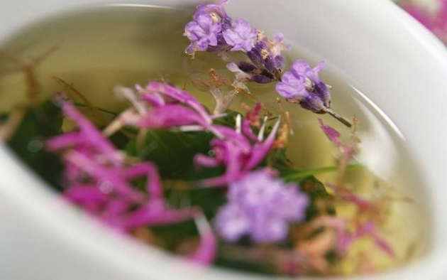 Te-de-hierbas-para-estimular-la-leche-materna-2.jpg Te-de-hierbas-para-estimular-la-leche-materna-2.jpg