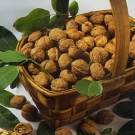 alimentos para bajar el colesterol y los trigliceridos4.jpg