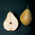 beneficios de comer semillas2.jpg